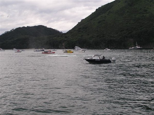 SeaFire 44meter fishing vessel sunk off Whakatane 7